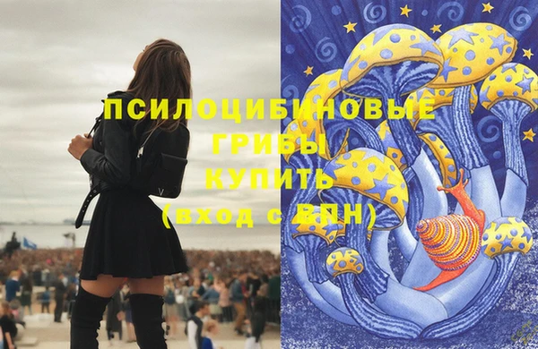 сатива Верхний Тагил