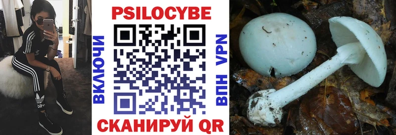 Галлюциногенные грибы прущие грибы  купить наркотики цена  Дигора 
