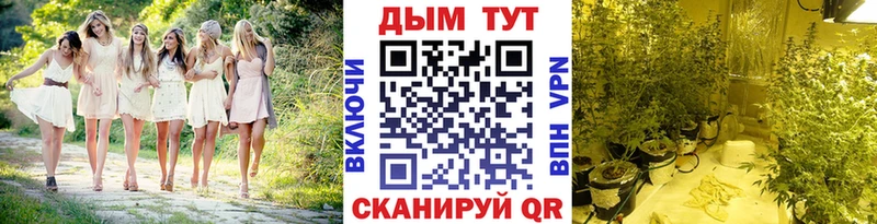 Конопля Bruce Banner  Дигора 